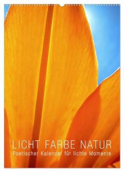 Licht Farbe Natur (Wandkalender 2026 DIN A2 hoch), CALVENDO Monatskalender