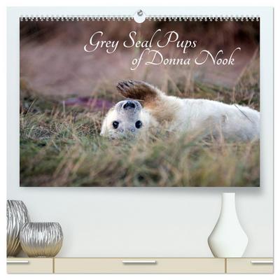 Grey Seal Pups of Donna Nook (High Quality Premium Wall Calendar 2026 DIN A2 landscape),CALVENDO 12 Month Wall Calendar