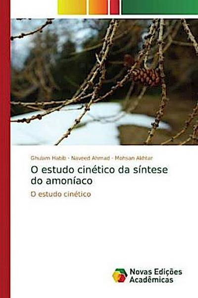 O estudo cinético da síntese do amoníaco