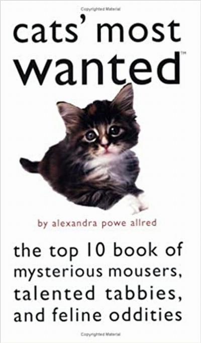 Cats’ Most Wanted