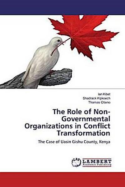 The Role of Non-Governmental Organizations in Conflict Transformation