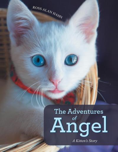 The Adventures of Angel: A Kitten’s Story