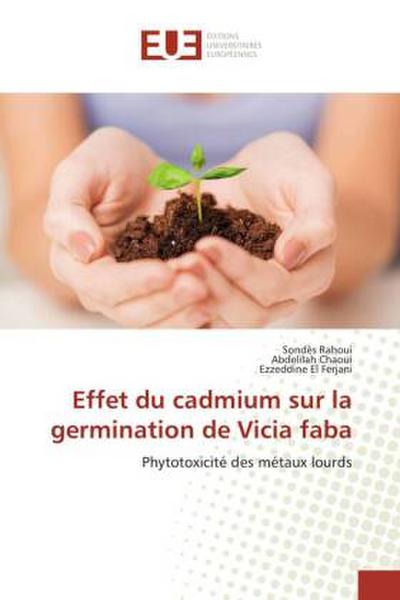 Effet du cadmium sur la germination de Vicia faba