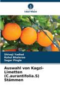 Auswahl von Kagzi-Limetten (C.aurantifolia.S) Stäm