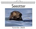Seeotter