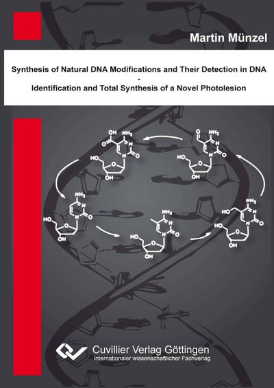 Synthese natürlicher DNA Modifikationen und deren Detektion in DNA - Identifikation und Totalsynthese eines neuartigen DNA Photoschadens