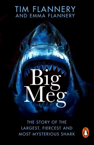 Big Meg