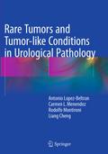 Rare Tumors and Tumor-like Conditions in Urologica