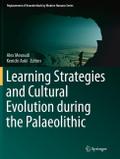 Learning Strategies and Cultural Evolution during 