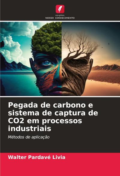 Pegada de carbono e sistema de captura de CO2 em processos industriais