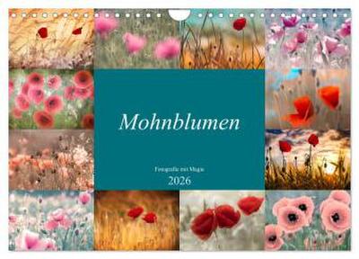 Mohnblumen - Fotografie mit Magie (Wandkalender 2026 DIN A4 quer), CALVENDO Monatskalender