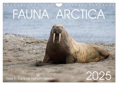 Fauna arctica (Wandkalender 2025 DIN A4 quer), CALVENDO Monatskalender