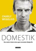 Domestik