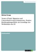 Terms of Trade: Migration und Unterschiede in den Lohnniveaus - Positive Rückkopplungseffekte als Grundlage des Wohlstandes der EU