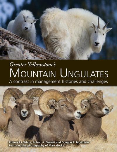 Greater Yellowstone’s Mountain Ungulates