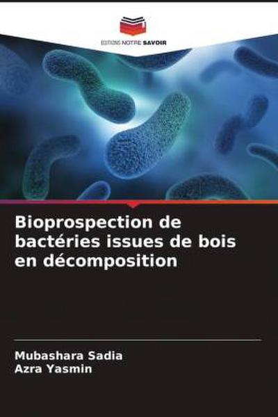 Bioprospection de bactéries issues de bois en décomposition