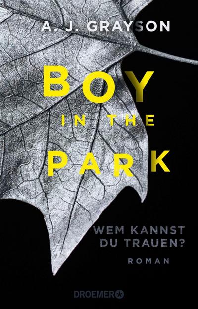 Grayson, A: Boy in the Park - Wem kannst du trauen?