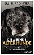 Die Weisheit alter Hunde