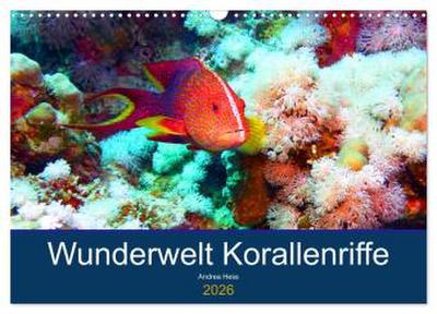Wunderwelt Korallenriffe (Wandkalender 2026 DIN A3 quer), CALVENDO Monatskalender