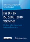Die DIN EN ISO 50001:2018 verstehen