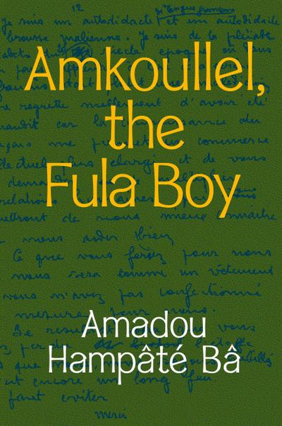 Amkoullel, the Fula Boy