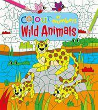 Colour by Numbers: Wild Animals