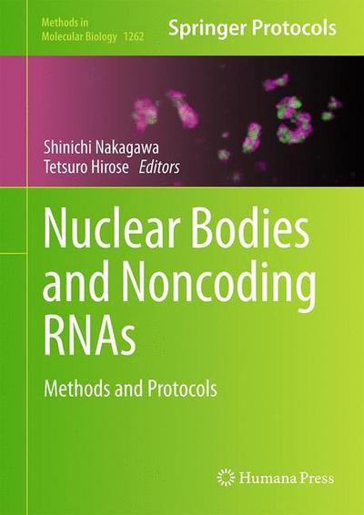 Nuclear Bodies and Noncoding RNAs