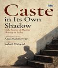 Caste in Its Own Shadow