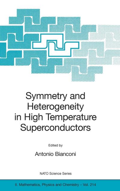 Symmetry and Heterogeneity in High Temperature Superconductors