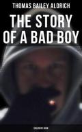 The Story of a Bad Boy (Children’s Book)