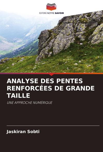 ANALYSE DES PENTES RENFORCÉES DE GRANDE TAILLE