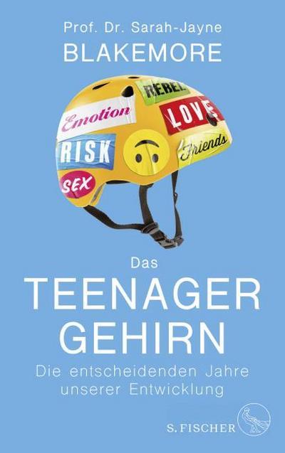 Das Teenager-Gehirn