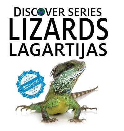 Lizards / Lagartijas