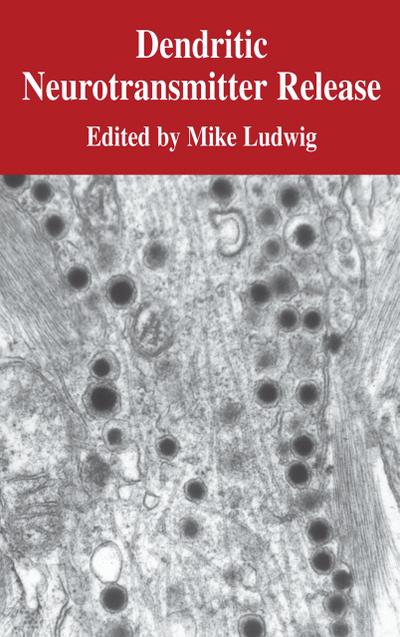 Dendritic Neurotransmitter Release
