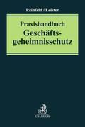 Praxishandbuch Geschäftsgeheimnisschutz
