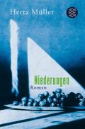 Niederungen: Prosa. Ausgezeichnet mit dem Aspekte-Literatur-Preis 1984 und dem Rauriser Literaturpreis 1985