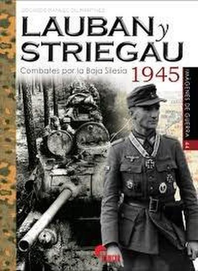 Lauban y Striegau : combates por la Baja Silesia, 1945