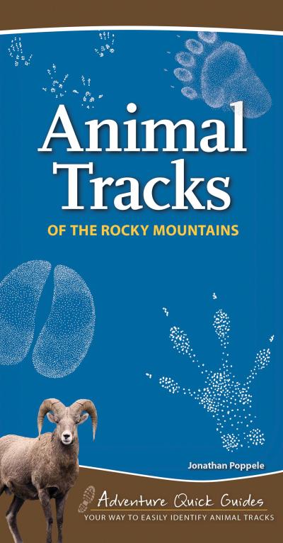 Animal Tracks of the Rocky Mountains: Your Way to Easily Identify Animal Tracks