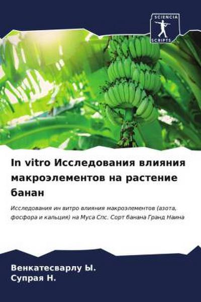 In vitro Issledowaniq wliqniq makroälementow na rastenie banan