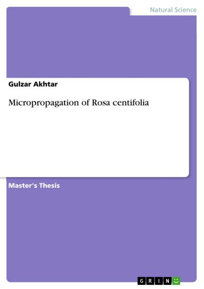 Micropropagation of Rosa centifolia
