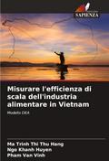 Misurare l’efficienza di scala dell’industria alimentare in Vietnam