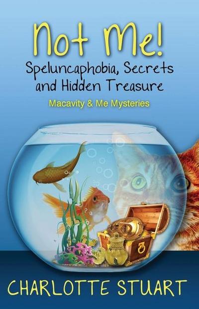 Not Me! Speluncaphobia, Secrets and Hidden Treasure
