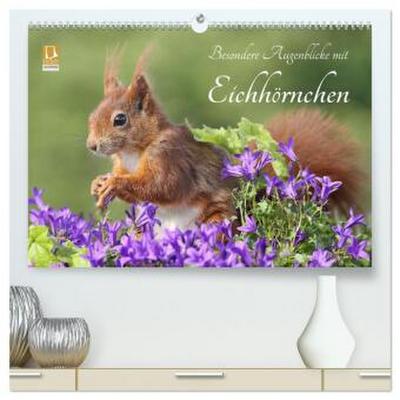Besondere Augenblicke mit Eichhörnchen (hochwertiger Premium Wandkalender 2026 DIN A2 quer), Kunstdruck in Hochglanz