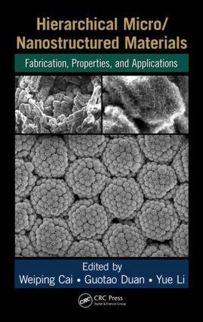 Hierarchical Micro/Nanostructured Materials