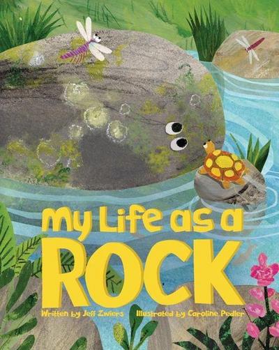 My Life as a Rock
