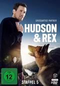 Hudson und Rex