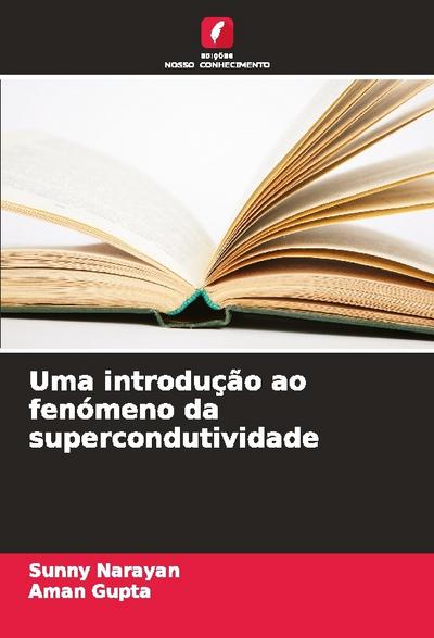 Uma introdução ao fenómeno da supercondutividade