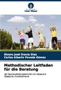 Methodischer Leitfaden für die Beratung