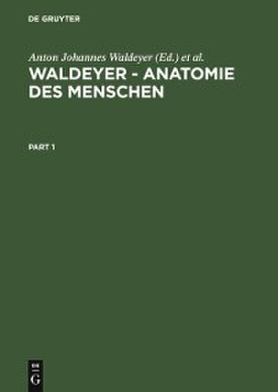 Waldeyer – Anatomie des Menschen