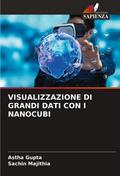 VISUALIZZAZIONE DI GRANDI DATI CON I NANOCUBI